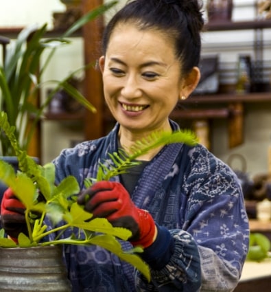 窯元代表　橋野翠史